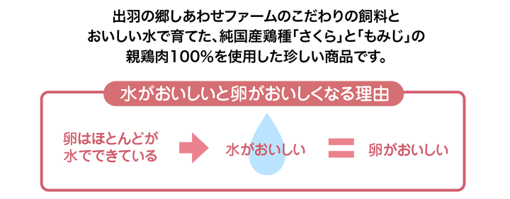 無添加しあわせのチキンジャーキー 半澤鶏卵オンラインショップ